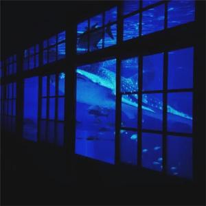 18厘米裸男自慰吞精
