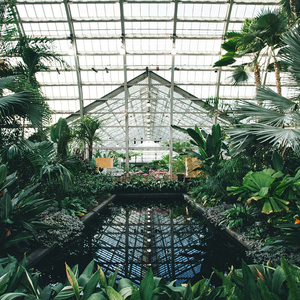 18厘米裸男自慰吞精
